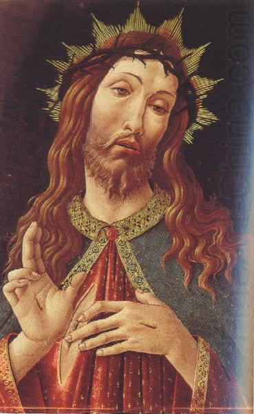 Ecco Homo or The Redeemer (mk39), Sandro botticelli and workshop